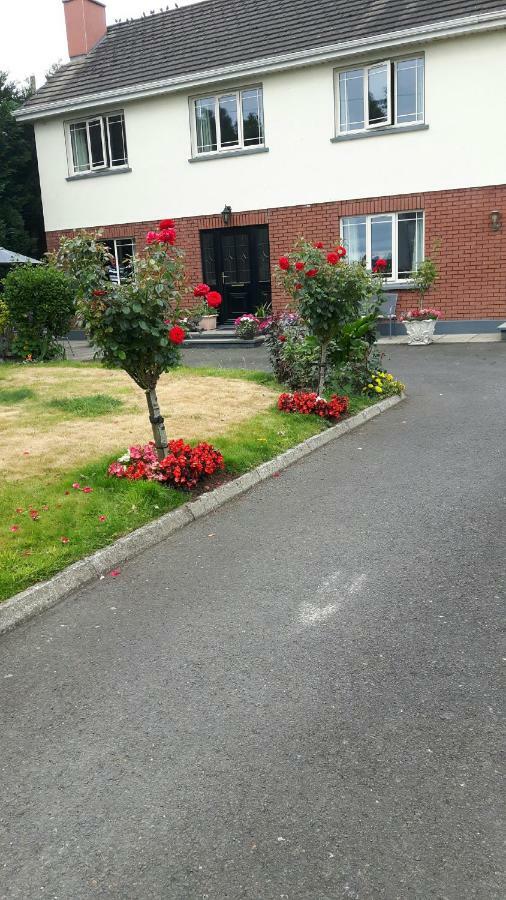 Scapaflow B&B O'Briensbridge Buitenkant foto
